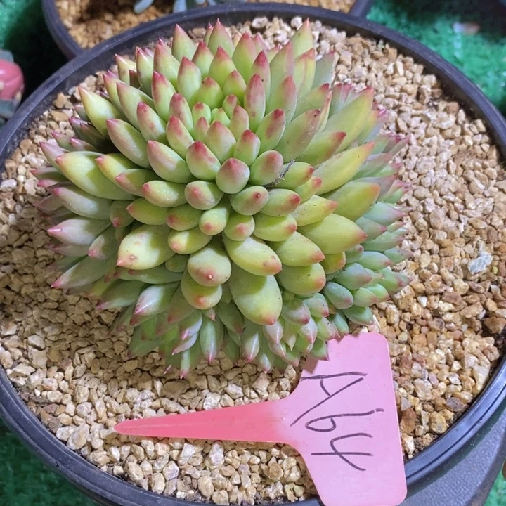 你不去上班就行吗还是