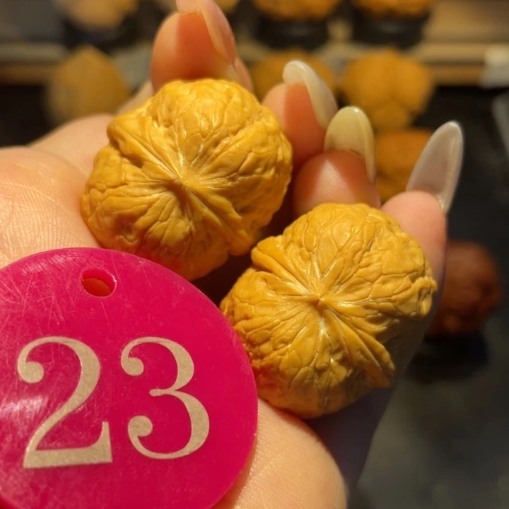 蛇皮球30尺寸核桃