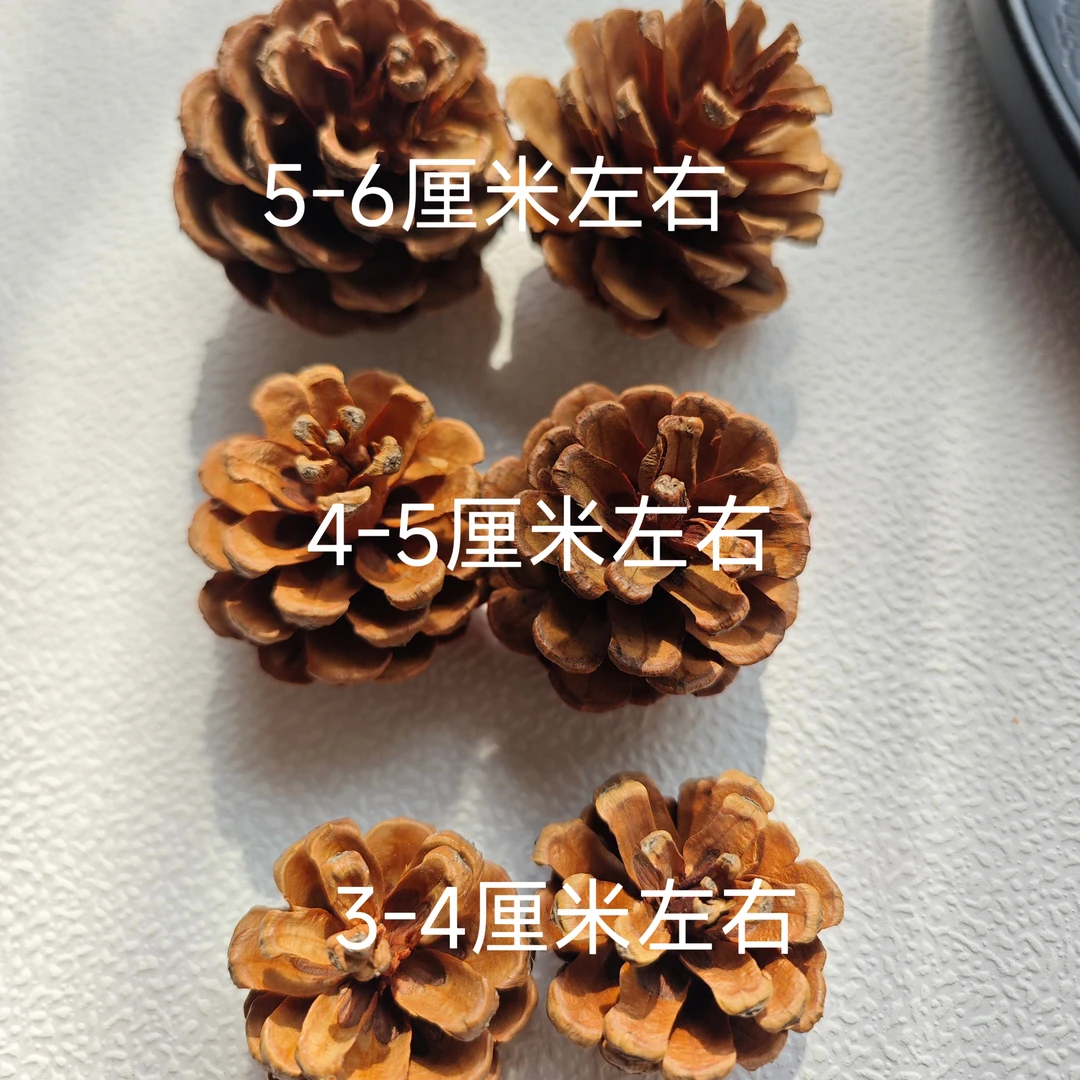 包邮100个松果装饰手工制作松果松球圣诞松果干花拍摄道具diy材料