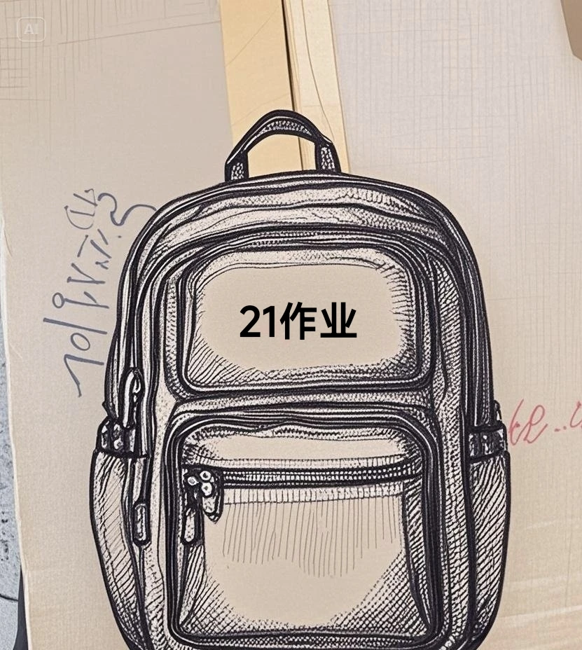 21作业包有灵魂B（保真带运费险）A33