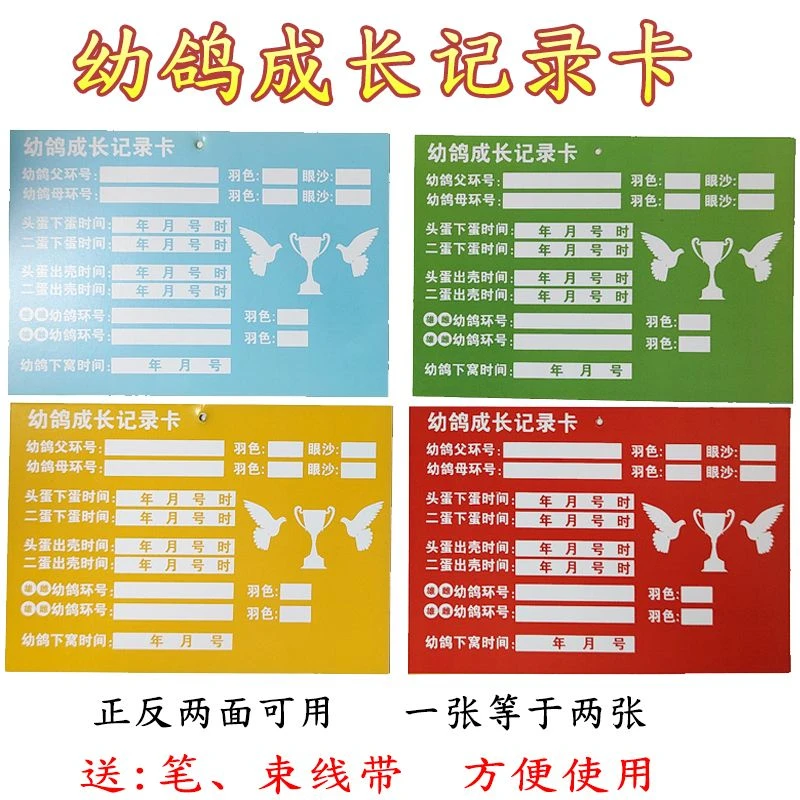 信赛鸽幼鸽成长记录卡中国信赛鸽子识别册书册辨别卡片血统直系