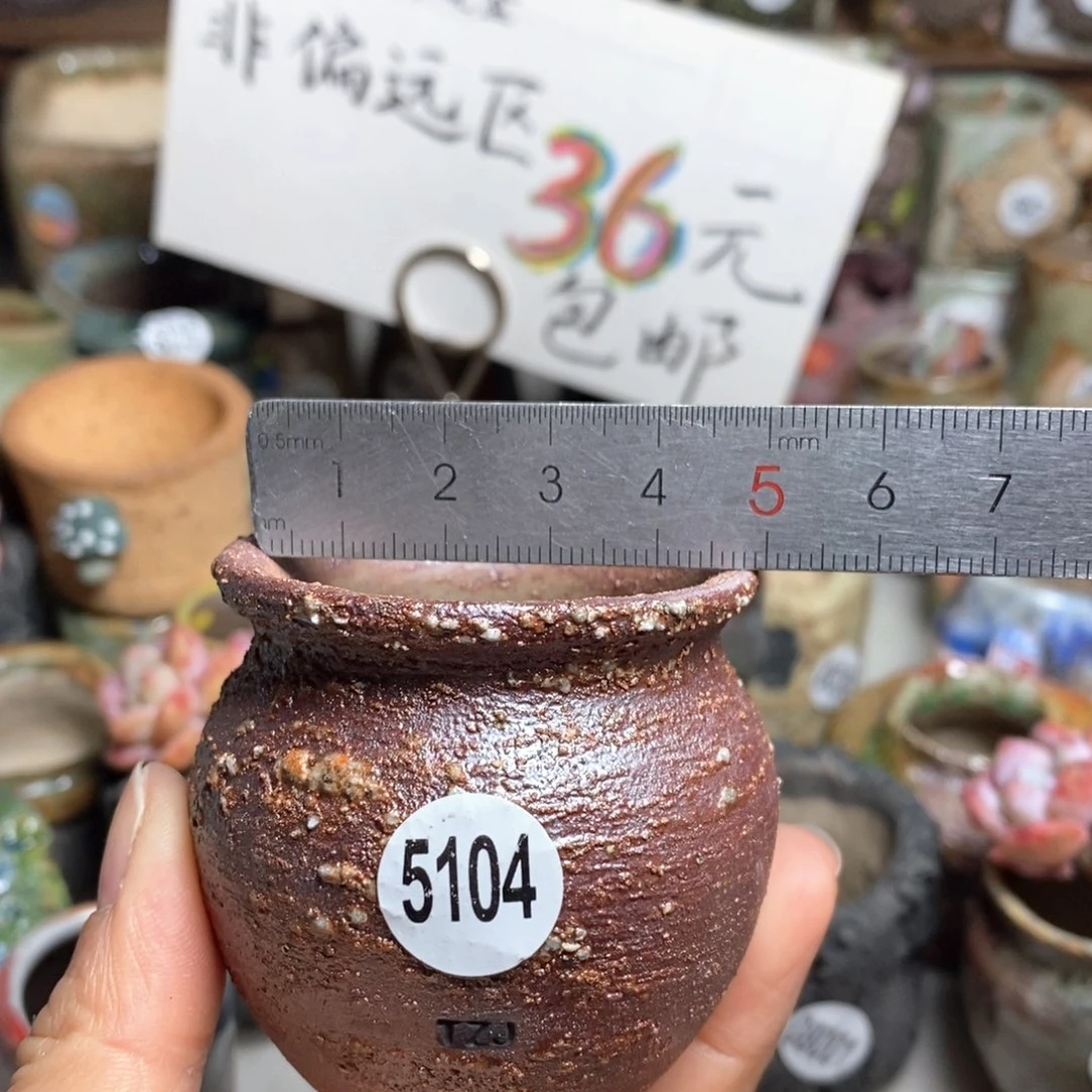 花盆拍5送一个小礼物