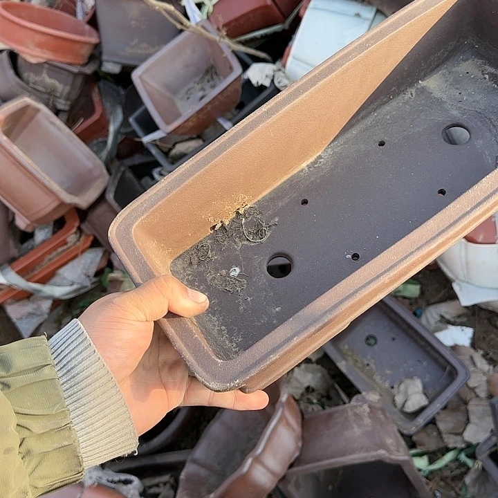 我想说我们也没见他说你没来就算吧了啊