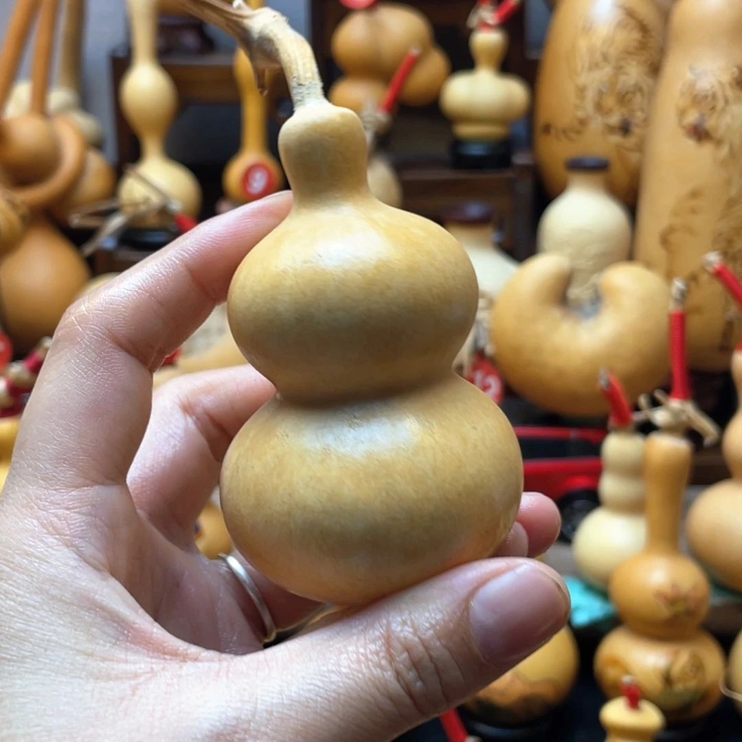 王****石大自然的秘密第十一课你是什么