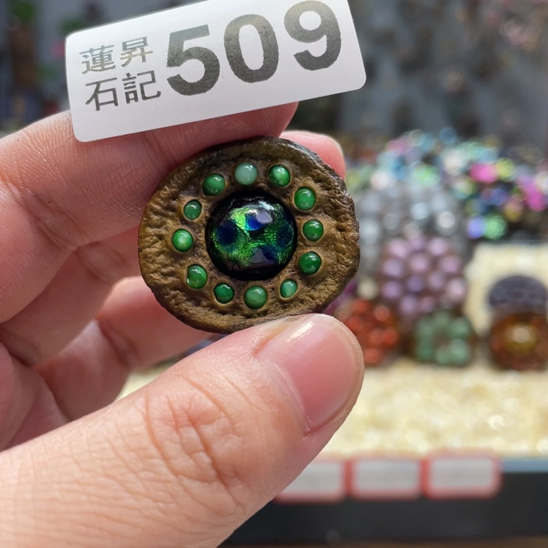 核桃木/黑胡桃（胡桃木）安****子509