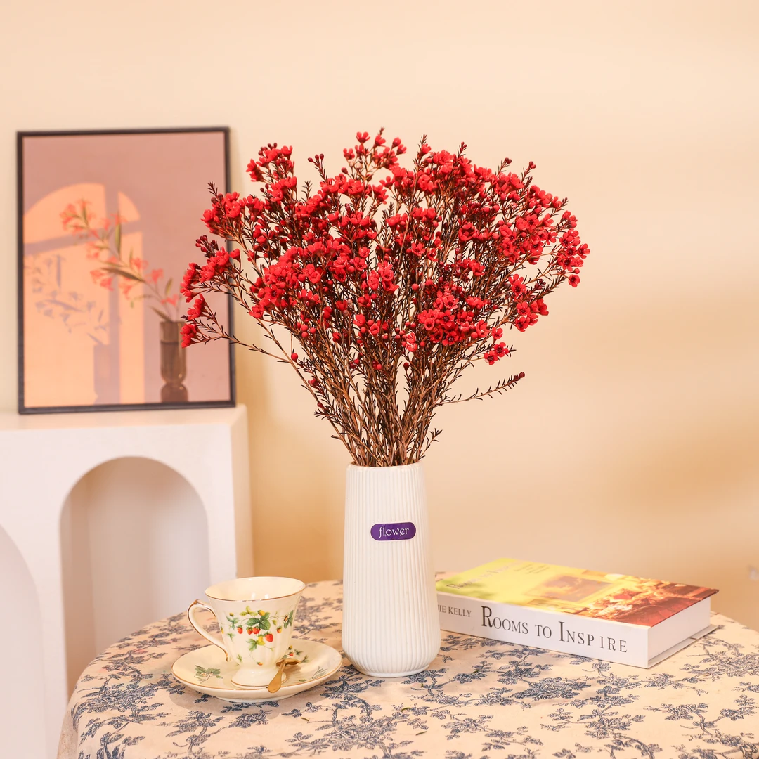 【红色腊梅+花瓶+保鲜剂】澳洲腊梅花鲜花云南直发耐养水培鲜切花