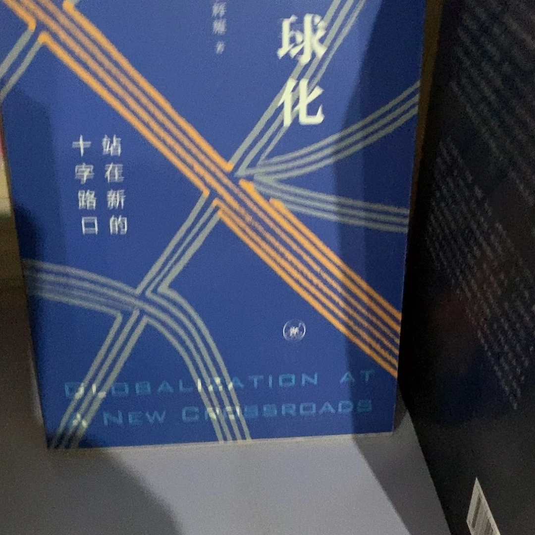 全球化…………………………