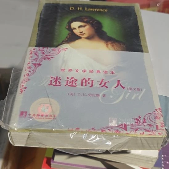 迷途的女人平装塑封全新英文书