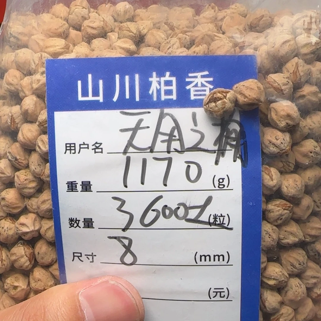 无***用柏香籽/百香籽吊坠