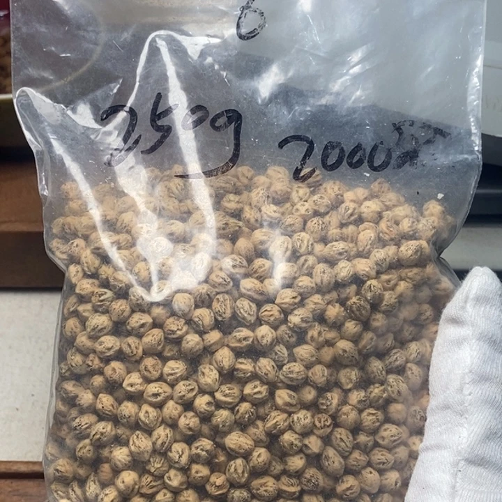 吊坠柏香籽/百香籽