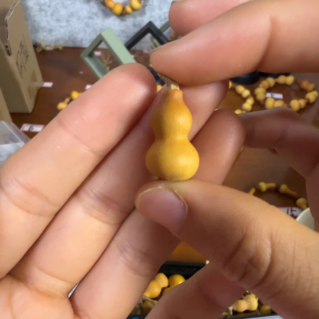 天然草里金小葫芦