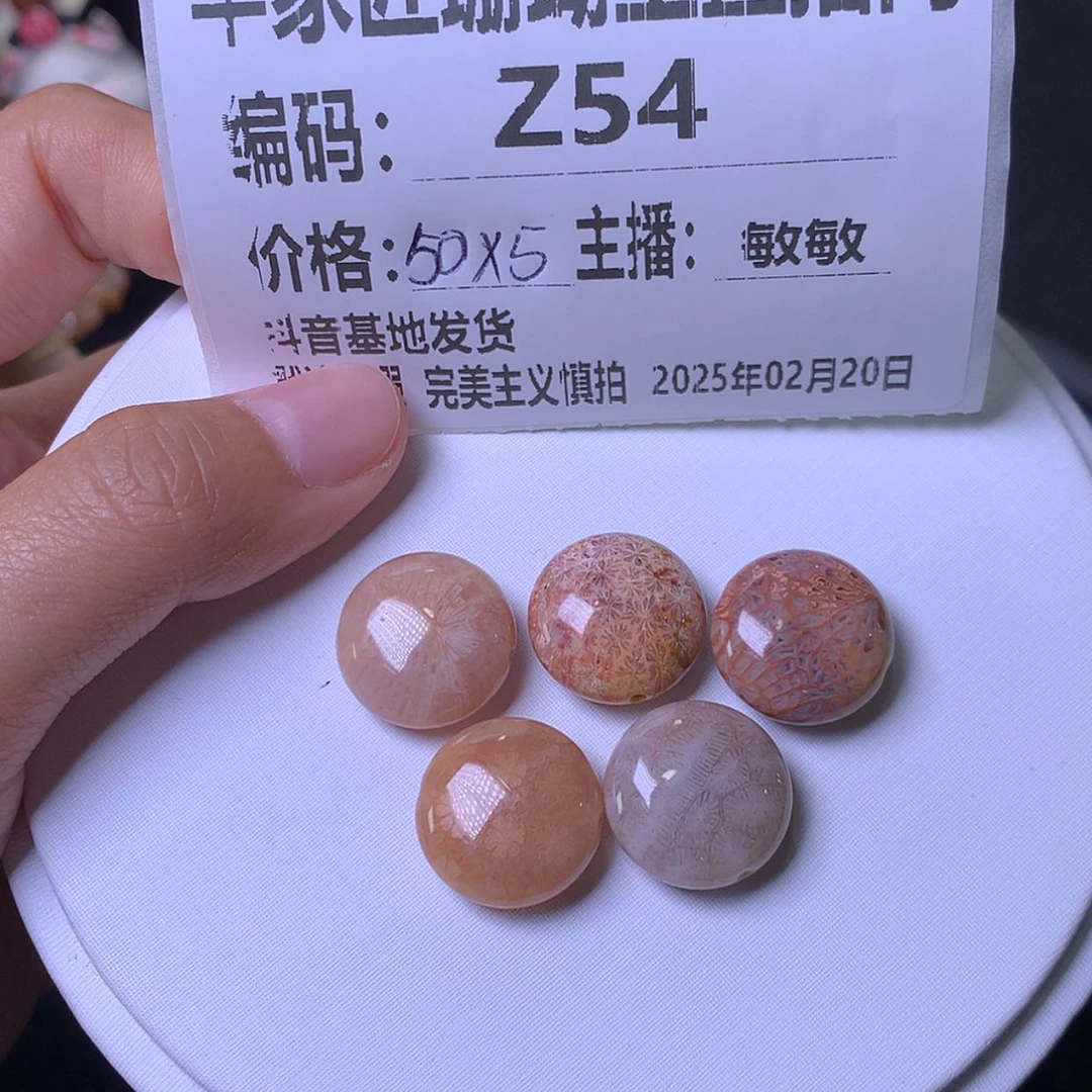 【闪购商品】硅化珊瑚（珊瑚玉）手链未镶嵌菜Z54