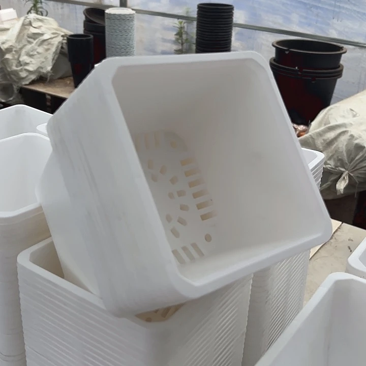 160白方盆15公分高11公分20个