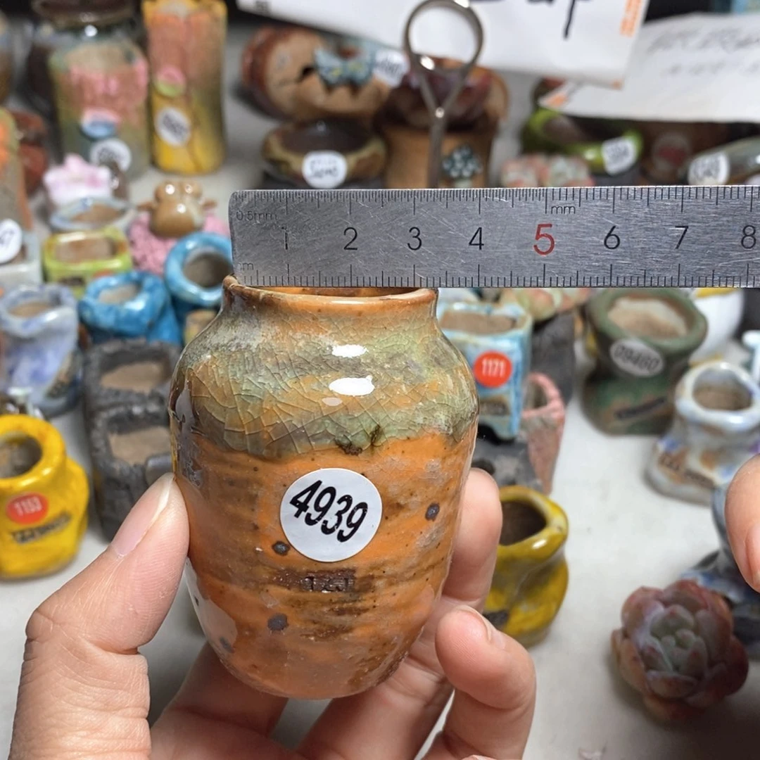 拍5送一个小礼物