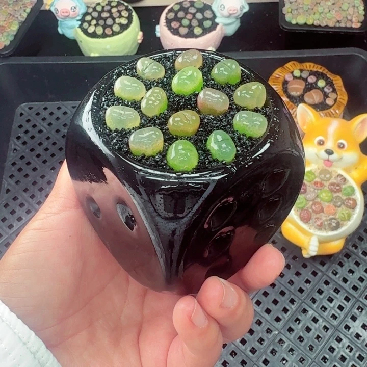 504零下地区记得拍保温箱