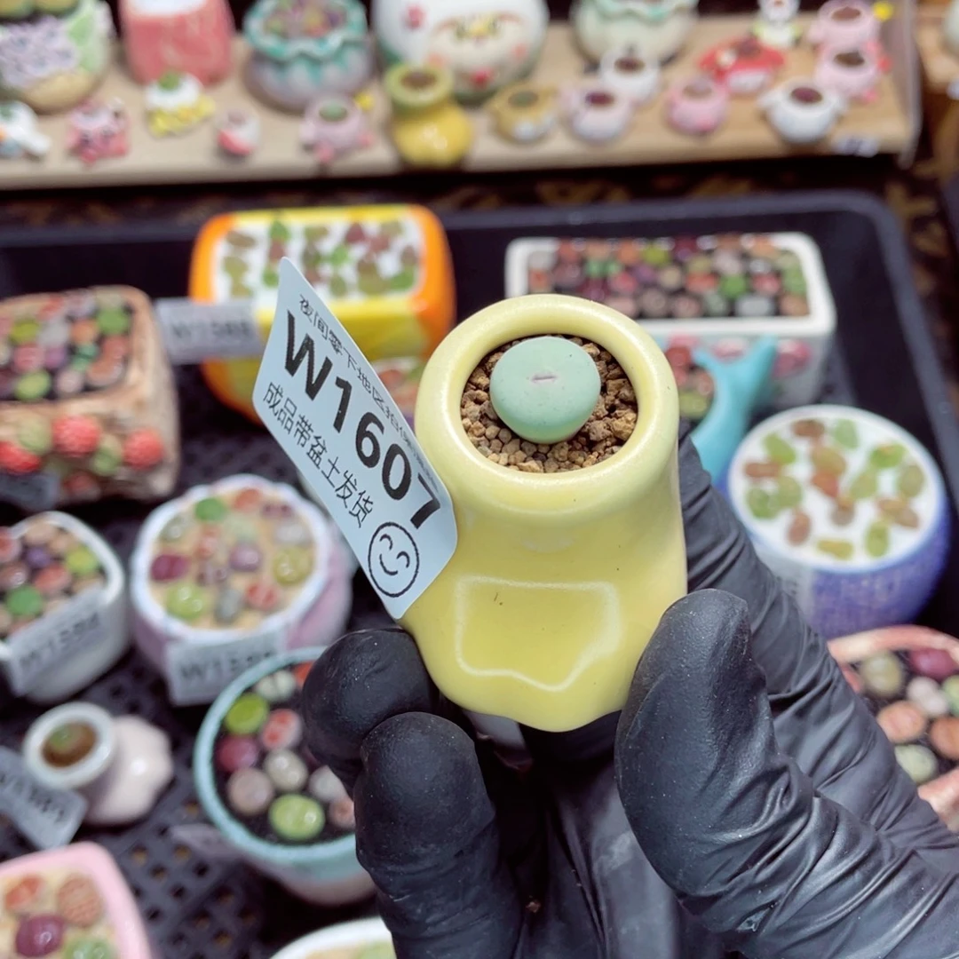 夜间零下地区拍保温箱w1607