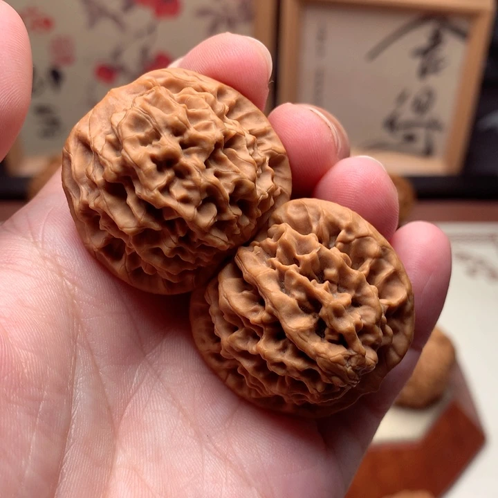 文玩核桃把件秦闷开播福利  1号