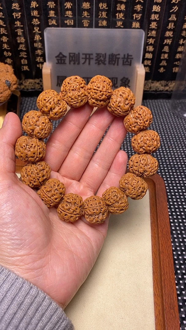 纽扣梅花，尼泊尔大金刚。