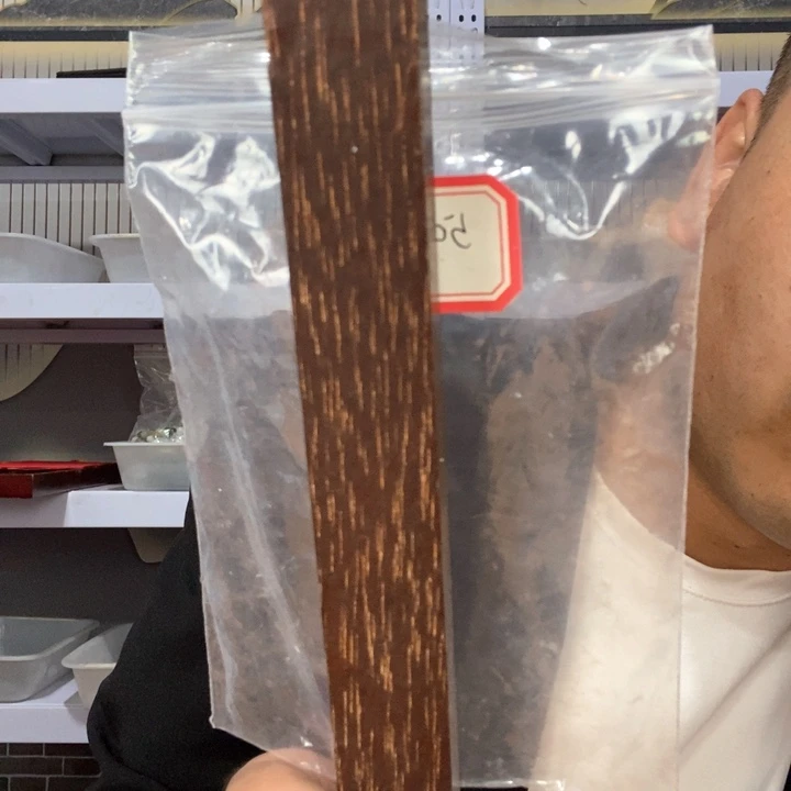 大果紫檀（缅甸花梨）509