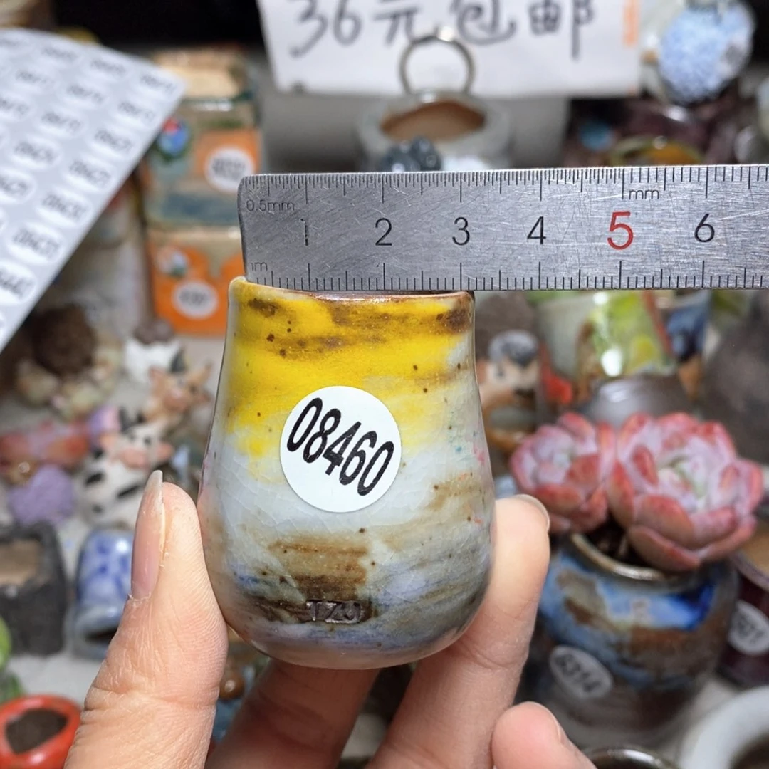 花盆，拍5送一个小礼物