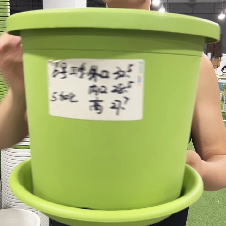 特价6号口32高27.7白色5支带托
