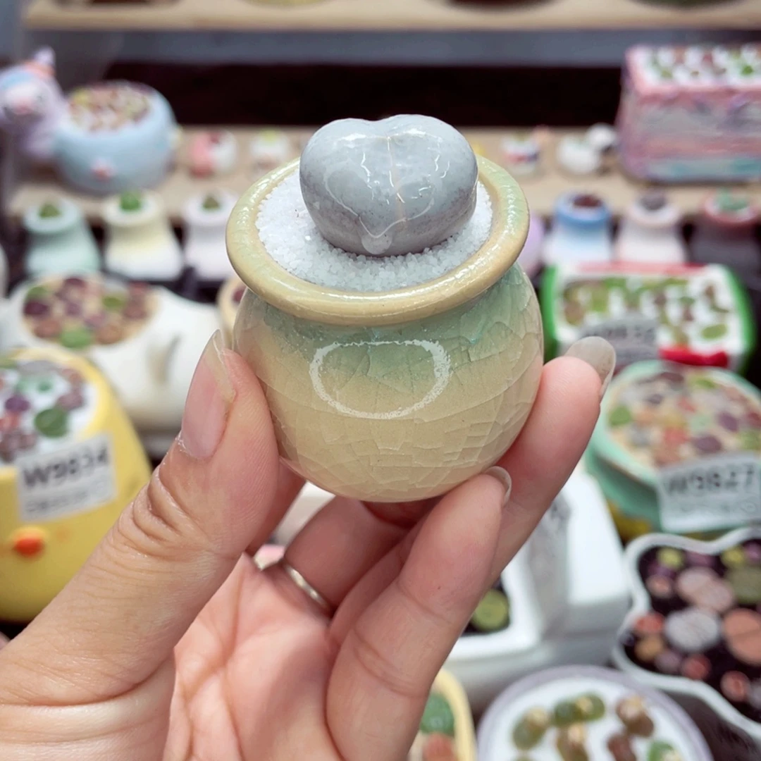 w9842 带盆土发货一物一拍