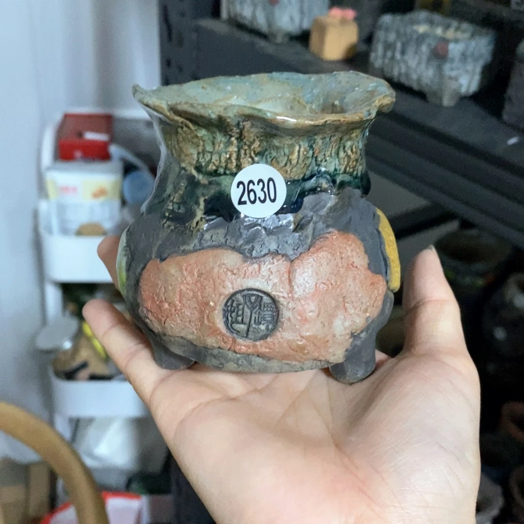 拍3送一个小礼物