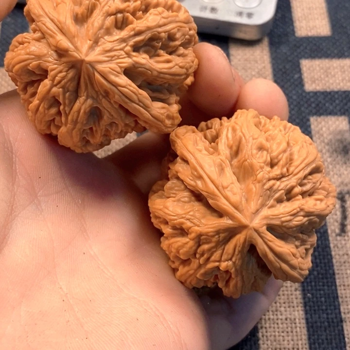 文玩核桃吊坠全品粗筋