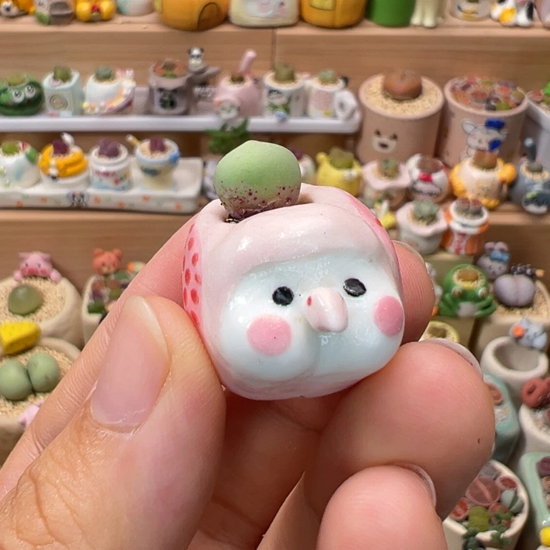 多肉植物117号拇指盆