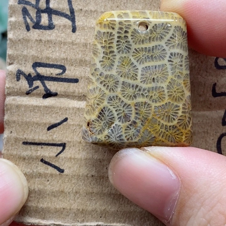 硅化珊瑚（珊瑚玉）颈饰未镶嵌