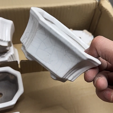 ·当场直播凑9元发·慎拍·