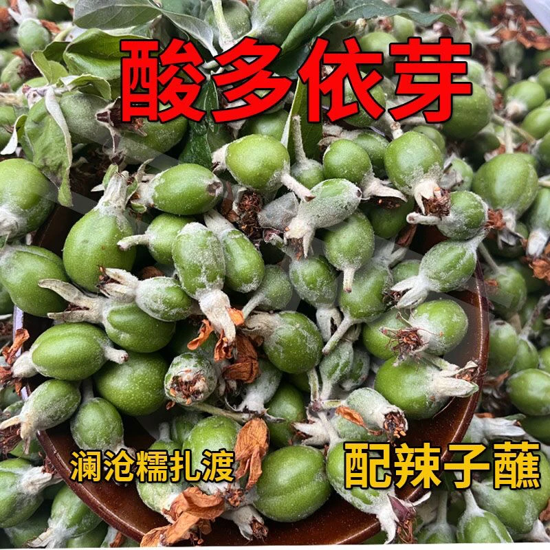 云南多依芽新鲜酸脆当天摘配辣子蘸时令酸水果普洱糯扎渡特产多衣