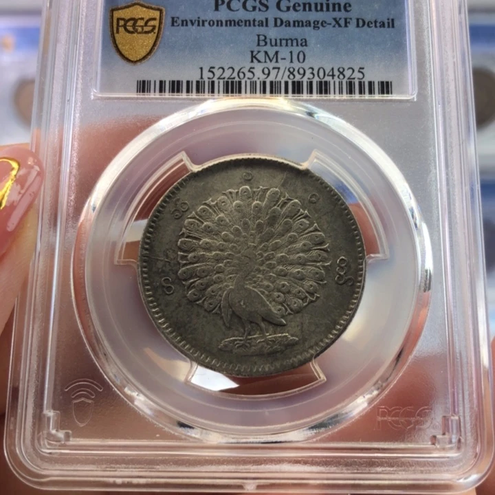 银百货店97孔雀银币4825