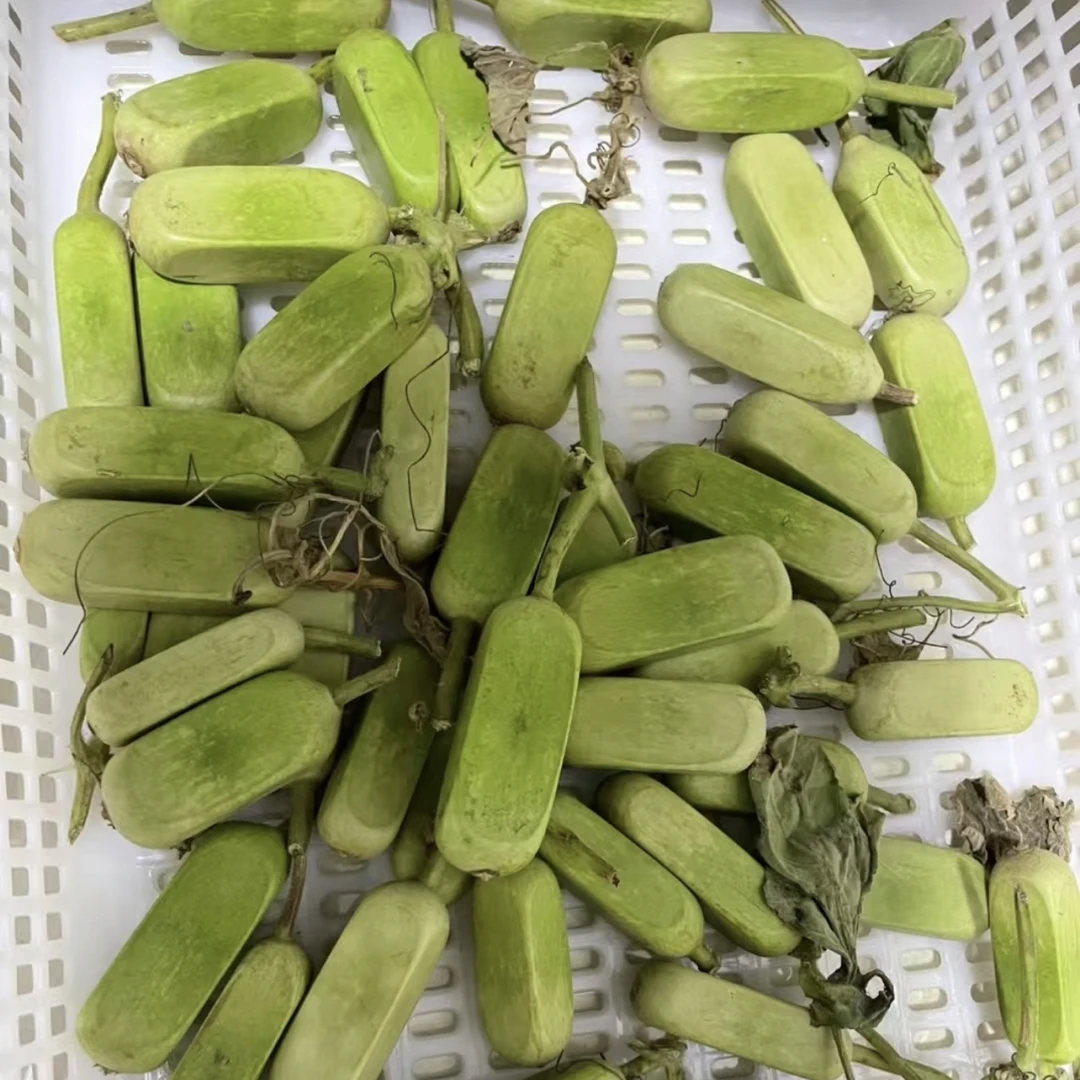 【青皮金条葫芦】打包价出，不包成
