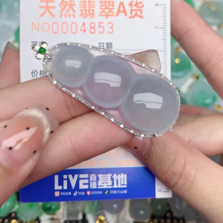 翡翠18K金镶嵌颈饰豆子