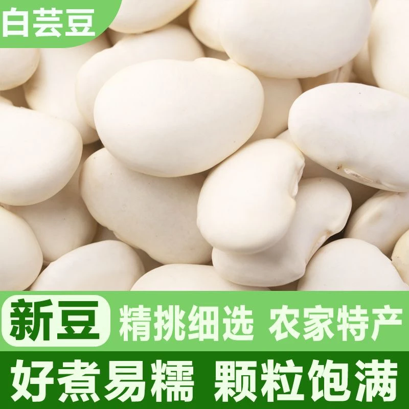 白芸豆云南农家新鲜大肾白云杂粮大雪豆大腰豆新货豆类干货食用