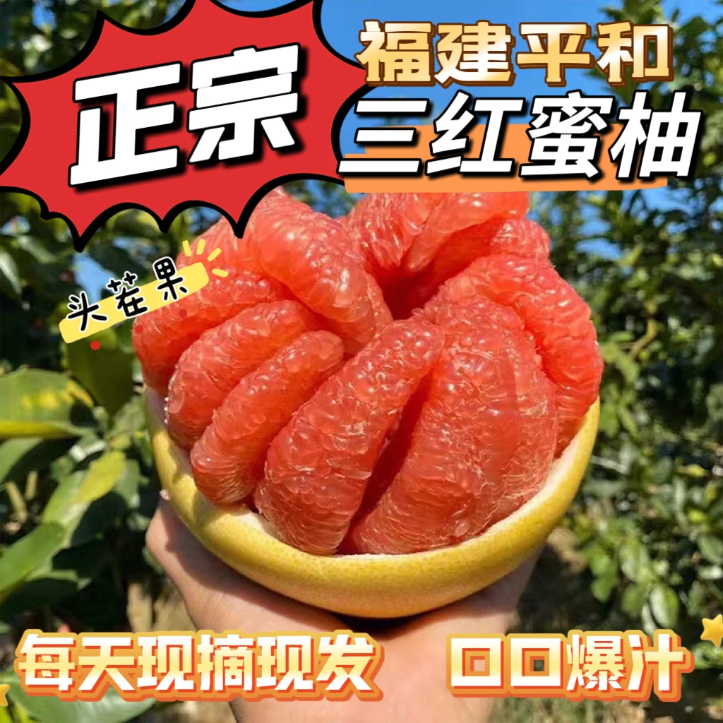 【福建平和】三红红心蜜柚新鲜头茬老树果红肉薄皮爆汁鲜嫩琯溪蜜柚