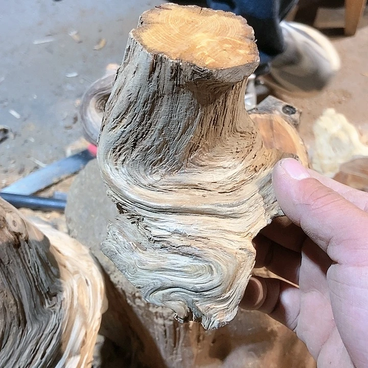 柏木纸**迷太行山区柏木木木