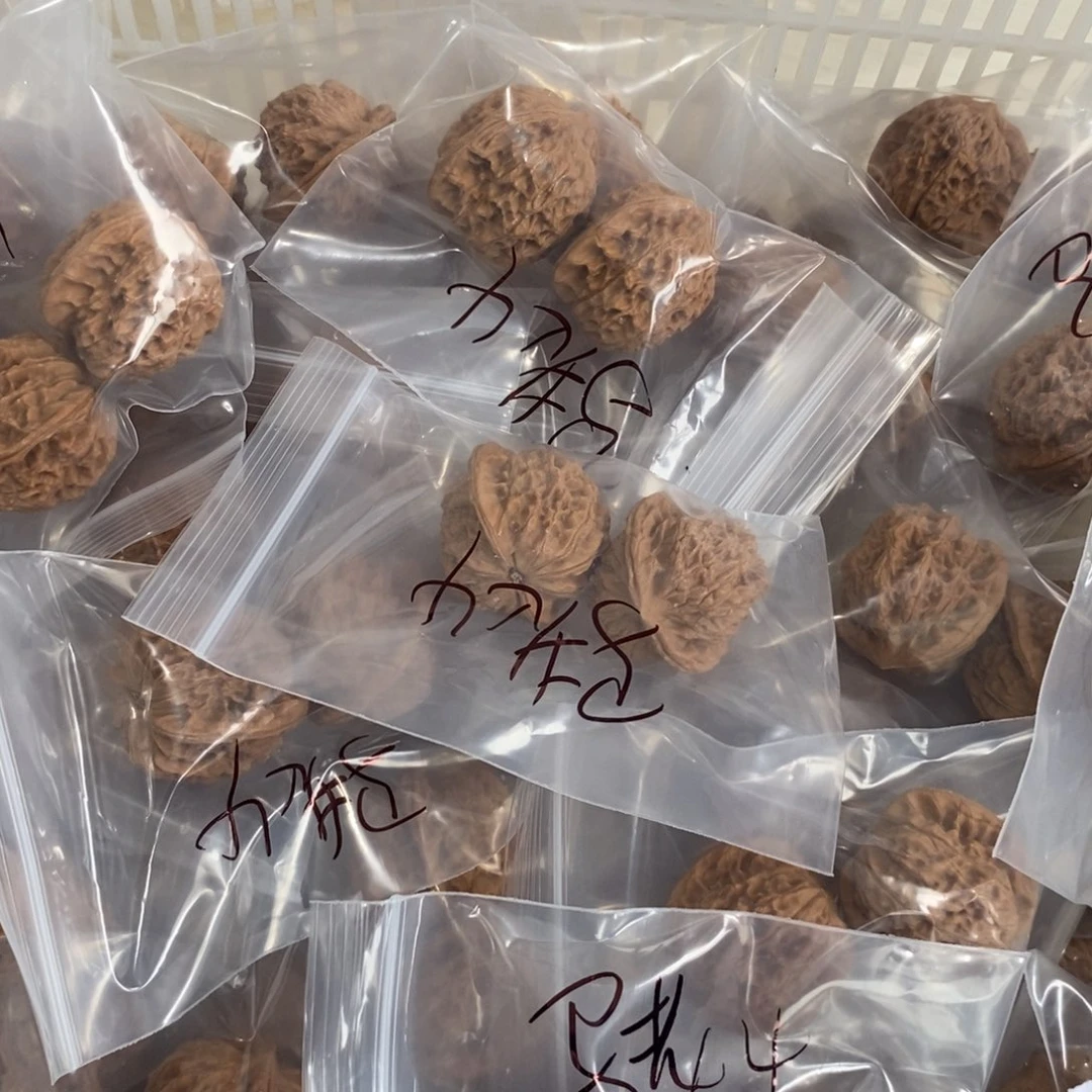 文玩核桃吊坠马老四
