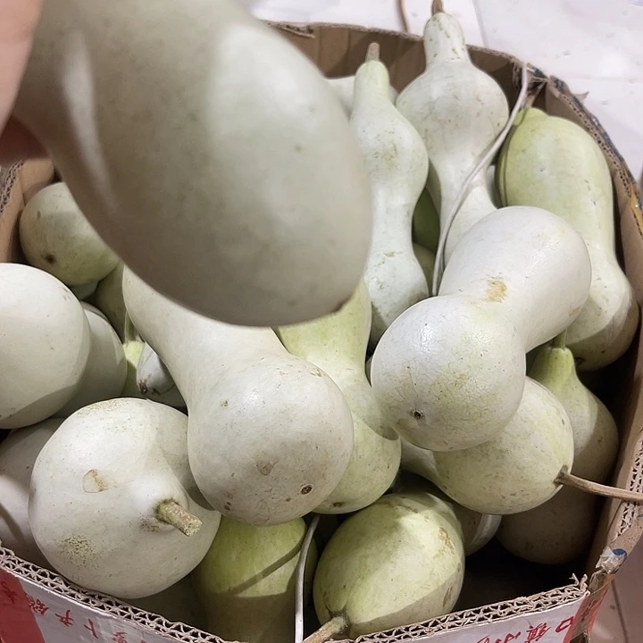 非洲紫檀（红花梨）建*哥