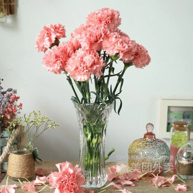 家居鲜花10支粉色康乃馨家用插花办公室装饰简易包装