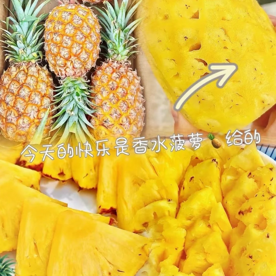 香香菠萝（个）菠萝同城送