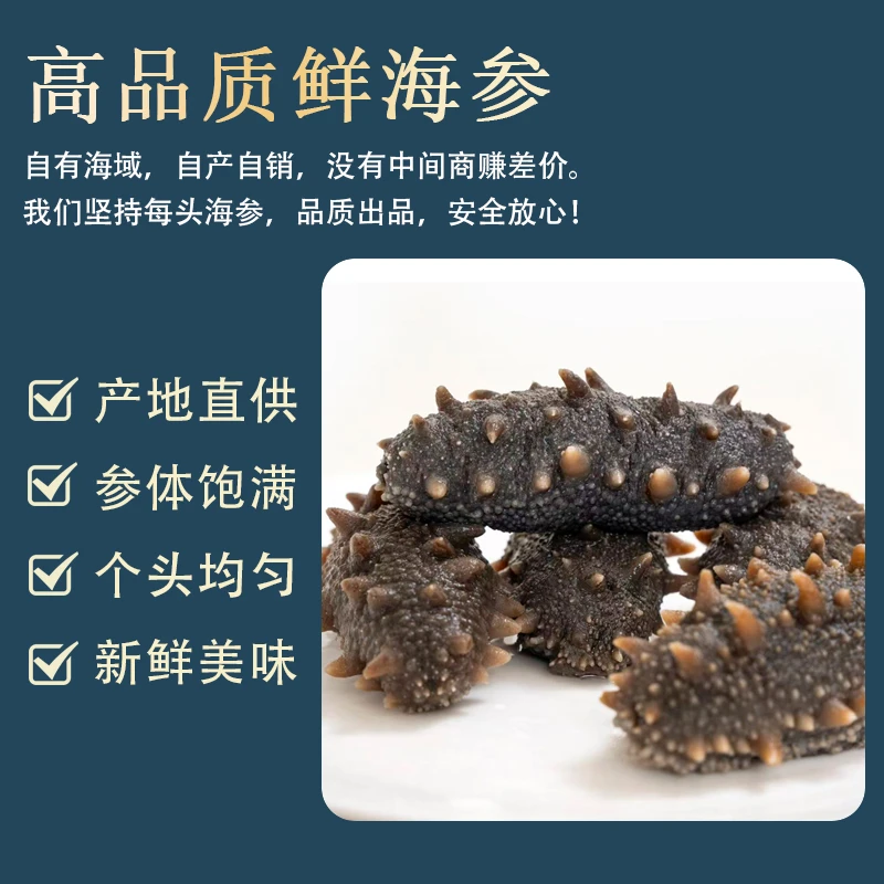 大连鲜蒸即食海参 Q弹口感 自有工厂 品质保证