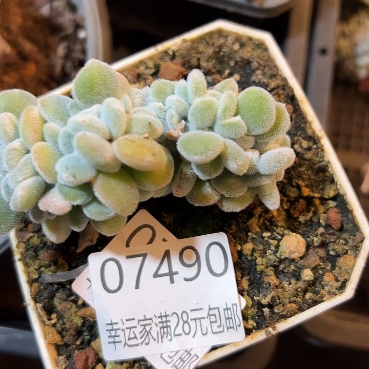 幸运的是我还没遇到过这样