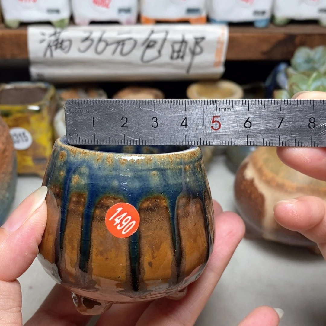 拍5送一个小礼物