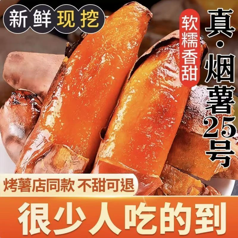 烟薯正宗25沙地红薯流油新鲜现挖地瓜番薯农家山芋烟薯25号辽宁省