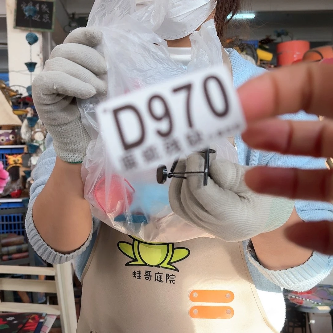 核桃木/黑胡桃（胡桃木）