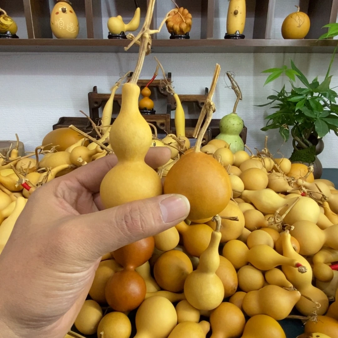 谢***逗直播间链接，文玩葫芦