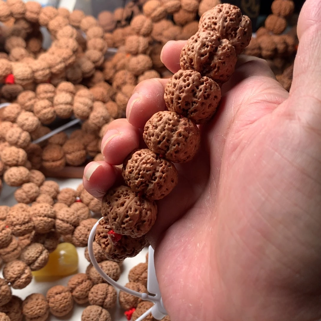 手串金刚菩提23左右五星蜂王超头