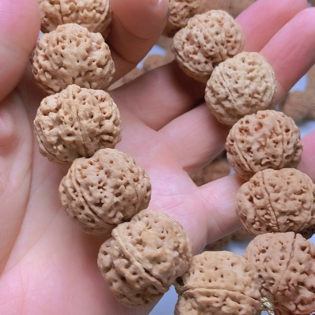 快***家金刚菩提吊坠5瓣25➕粗筋双龙